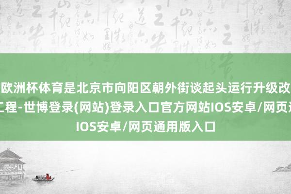 欧洲杯体育是北京市向阳区朝外街谈起头运行升级改革的要点工程-世博登录(网站)登录入口官方网站IOS安卓/网页通用版入口